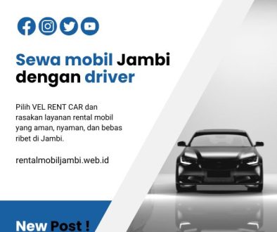 artikel vel rent car (1)