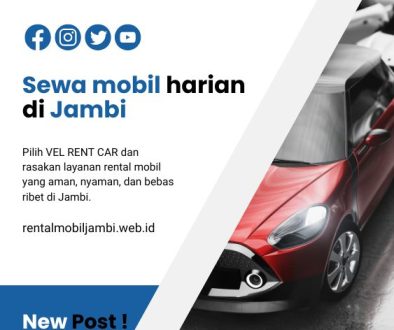 artikel vel rent car (2)