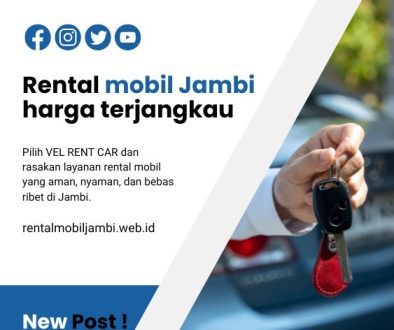artikel vel rent car (3)